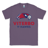 Lavender v-h4wks, viterbo, education Classic Tee - linhVisuals