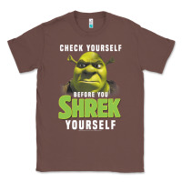 Chestnut sh.rek check yourself before you sh.rek yourself t shirt Classic Tee - linhVisuals