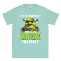Seafoam sh.rek check yourself before you sh.rek yourself t shirt Classic Tee - linhVisuals