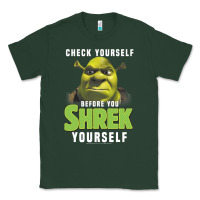 Sports Green sh.rek check yourself before you sh.rek yourself t shirt Classic Tee - linhVisuals