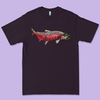 Chinook Salmon Fish Illustrations Premium Tee Designed By Lillyallendesigns