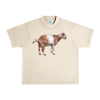 Sandshell Nubian Goat Urban Heavy Tee - LillyAllenDesigns