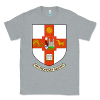 Heather Grey university bristol Classic Tee - linhVisuals