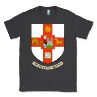 Smoke university bristol Classic Tee - linhVisuals