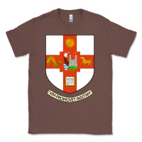 Chestnut university bristol Classic Tee - linhVisuals