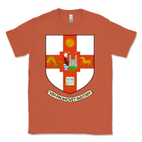 Copper university bristol Classic Tee - linhVisuals
