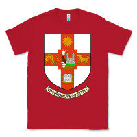Red university bristol Classic Tee - linhVisuals