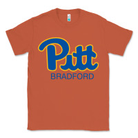 Copper pitt bradford, University of Pittsburgh at Bradford, Classic Tee - linhVisuals