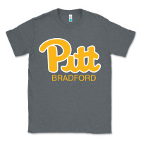 Charcoal Heather pitt bradford, University of Pittsburgh at Bradford, Classic Tee - linhVisuals