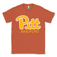 Copper pitt bradford, University of Pittsburgh at Bradford, Classic Tee - linhVisuals