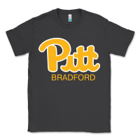 Smoke pitt bradford, University of Pittsburgh at Bradford, Classic Tee - linhVisuals