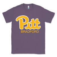 Lavender pitt bradford, University of Pittsburgh at Bradford, Classic Tee - linhVisuals