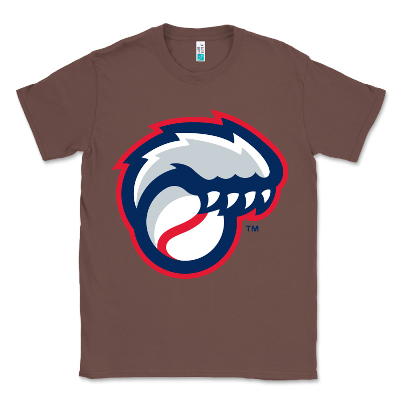 New Hampshire Fisher Cats Classic Tee by linhVisuals | Teevron