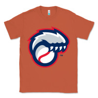 Copper new hampshire fisher cats Classic Tee - linhVisuals