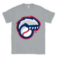 Heather Grey new hampshire fisher cats Classic Tee - linhVisuals