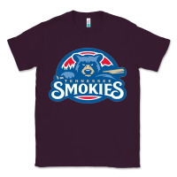 Plum tennessee smokies Classic Tee - linhVisuals
