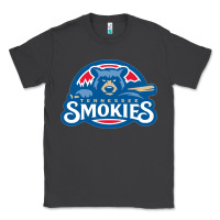 Smoke tennessee smokies Classic Tee - linhVisuals