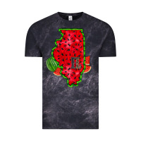 Cloud Black illinois watermelon Vintage Tee - RacoonDesign