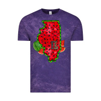 Cloud Purple illinois watermelon Vintage Tee - RacoonDesign