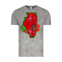 Cloud Rock illinois watermelon Vintage Tee - RacoonDesign