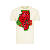 Vintage Arctic illinois watermelon Vintage Tee - RacoonDesign