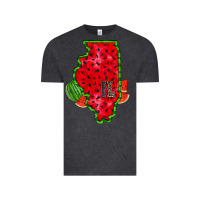 Vintage Black illinois watermelon Vintage Tee - RacoonDesign