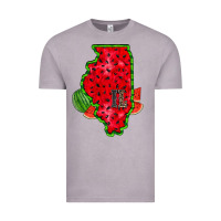 Vintage Zinc illinois watermelon Vintage Tee - RacoonDesign
