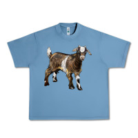 Pebble Blue Baby Tennessee Fainting Goat Urban Heavy Tee - LillyAllenDesigns