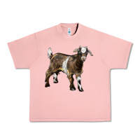 Salmon Baby Tennessee Fainting Goat Urban Heavy Tee - LillyAllenDesigns