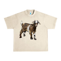 Sandshell Baby Tennessee Fainting Goat Urban Heavy Tee - LillyAllenDesigns