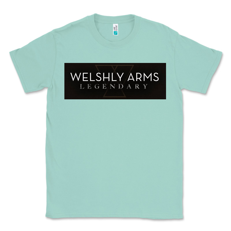 Welshly Arms 005 Classic Tee by linhVisuals | Teevron