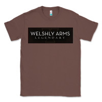 Chestnut welshly arms 005 Classic Tee - linhVisuals
