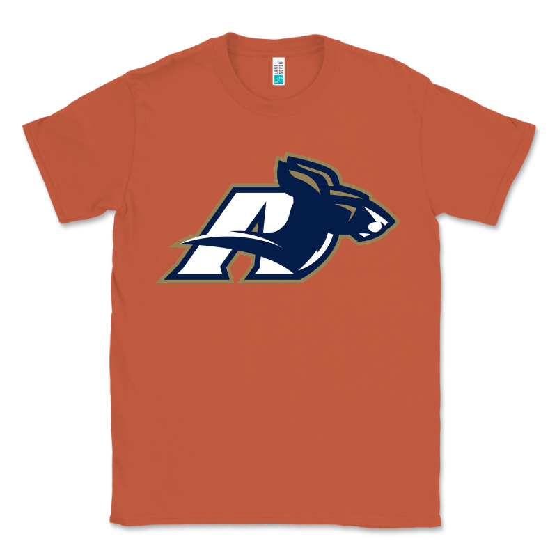 Akron University Zips Classic Tee by linhVisuals | Teevron