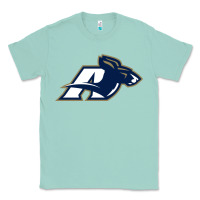 Seafoam akron university zips Classic Tee - linhVisuals