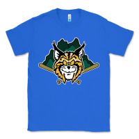 True Royal lynchburg hillcats Baseball Classic Tee - linhVisuals
