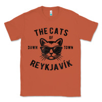 Copper cats of downtown reykjavik t shirt Classic Tee - linhVisuals