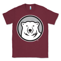 Bowdoin College Classic Tee | Teevron
