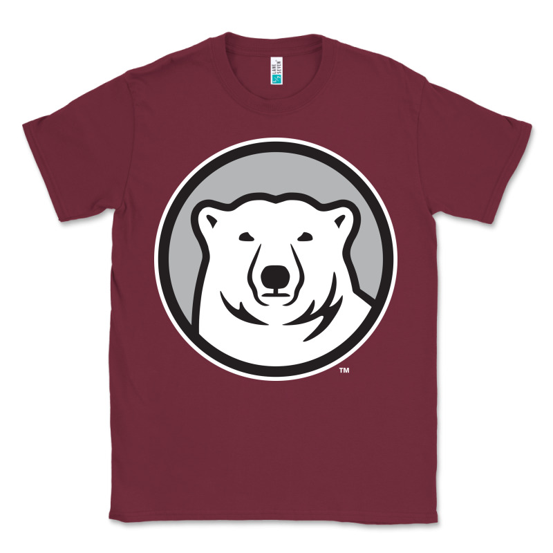 Bowdoin College Classic Tee by linhVisuals | Teevron