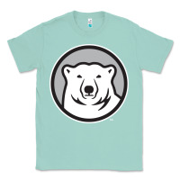 Seafoam bowdoin college Classic Tee - linhVisuals