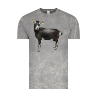 Cloud Rock Alpine Goat Vintage Tee - LillyAllenDesigns