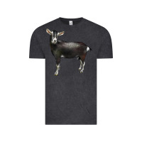 Vintage Black Alpine Goat Vintage Tee - LillyAllenDesigns