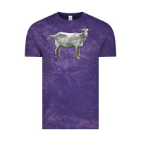 Cloud Purple saanen goat Vintage Tee - LillyAllenDesigns