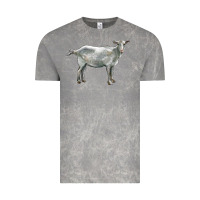 Cloud Rock saanen goat Vintage Tee - LillyAllenDesigns