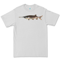 Dove Grey Paddlefish Illustrations, Premium Tee - LillyAllenDesigns