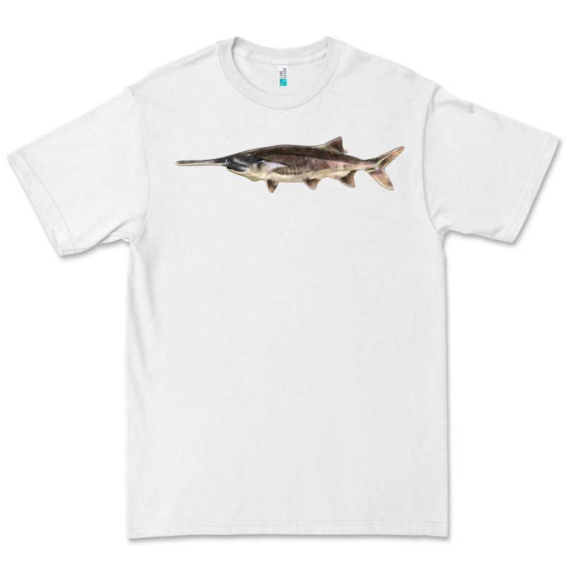 Paddlefish Illustrations, Premium Tee by LillyAllenDesigns | Teevron