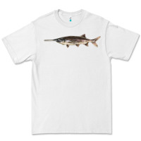 White Paddlefish Illustrations, Premium Tee - LillyAllenDesigns
