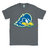 Charcoal Heather delaware blue hens Classic Tee - linhVisuals