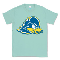 Seafoam delaware blue hens Classic Tee - linhVisuals