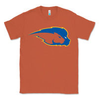 Copper hofstra pride Classic Tee - linhVisuals