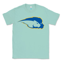 Seafoam hofstra pride Classic Tee - linhVisuals